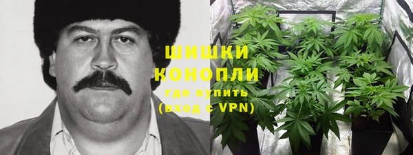 ГАЛЛЮЦИНОГЕННЫЕ ГРИБЫ Осташков